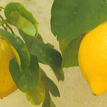 Naphina, A 2.5 Km * ラ・クロワ・ヴァルメ